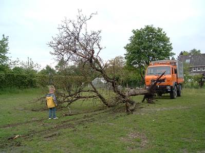 Ein Bild, das Gras, drauen, Baum, Himmel enthlt.

Automatisch generierte Beschreibung